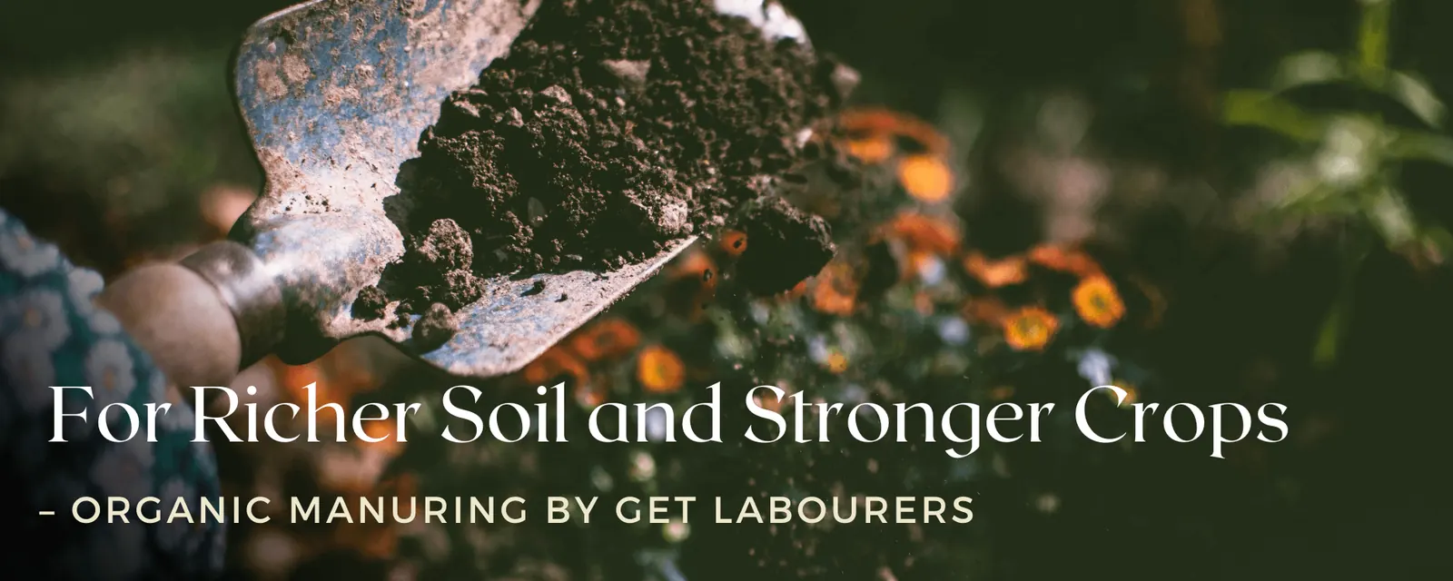 Rich fertile garden soil in hand