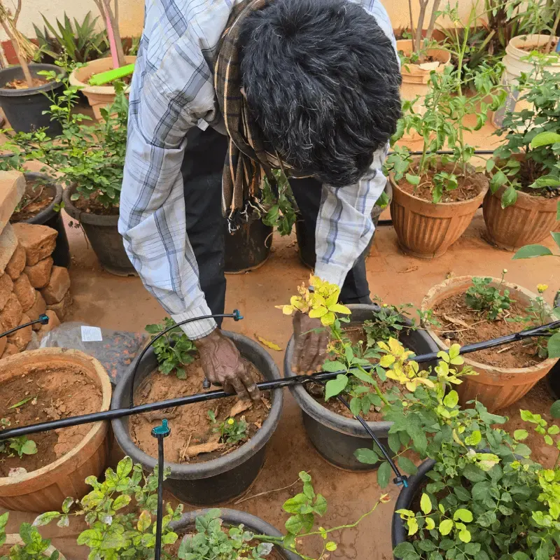Terrace garden drip installation