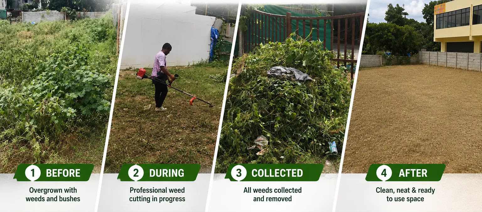 Vacant site cleaning in Bangalore: before, during, collected and after